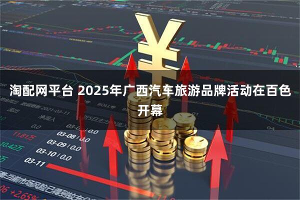 淘配网平台 2025年广西汽车旅游品牌活动在百色开幕